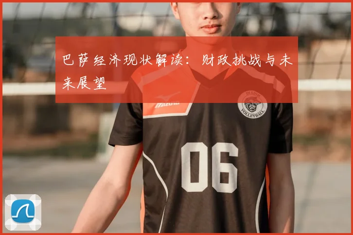 巴萨经济现状解读：财政挑战与未来展望