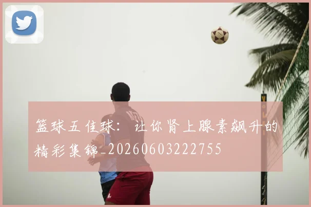 篮球五佳球：让你肾上腺素飙升的精彩集锦_20260603222755